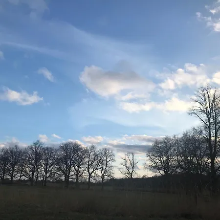 Near Golf And Valgeranna * Audru